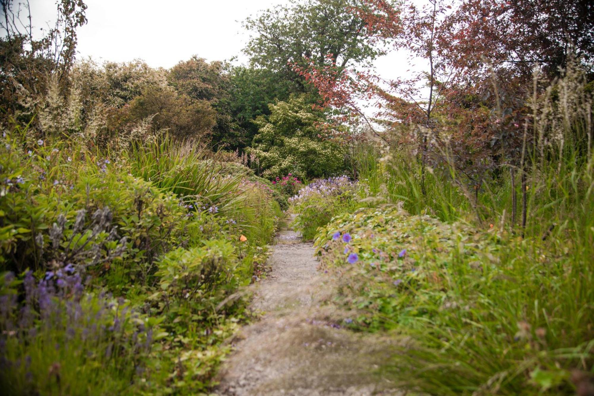 Trigonos - Quiet, Peaceful, Vegetarian B&B And Retreat Centre Nantlle Buitenkant foto