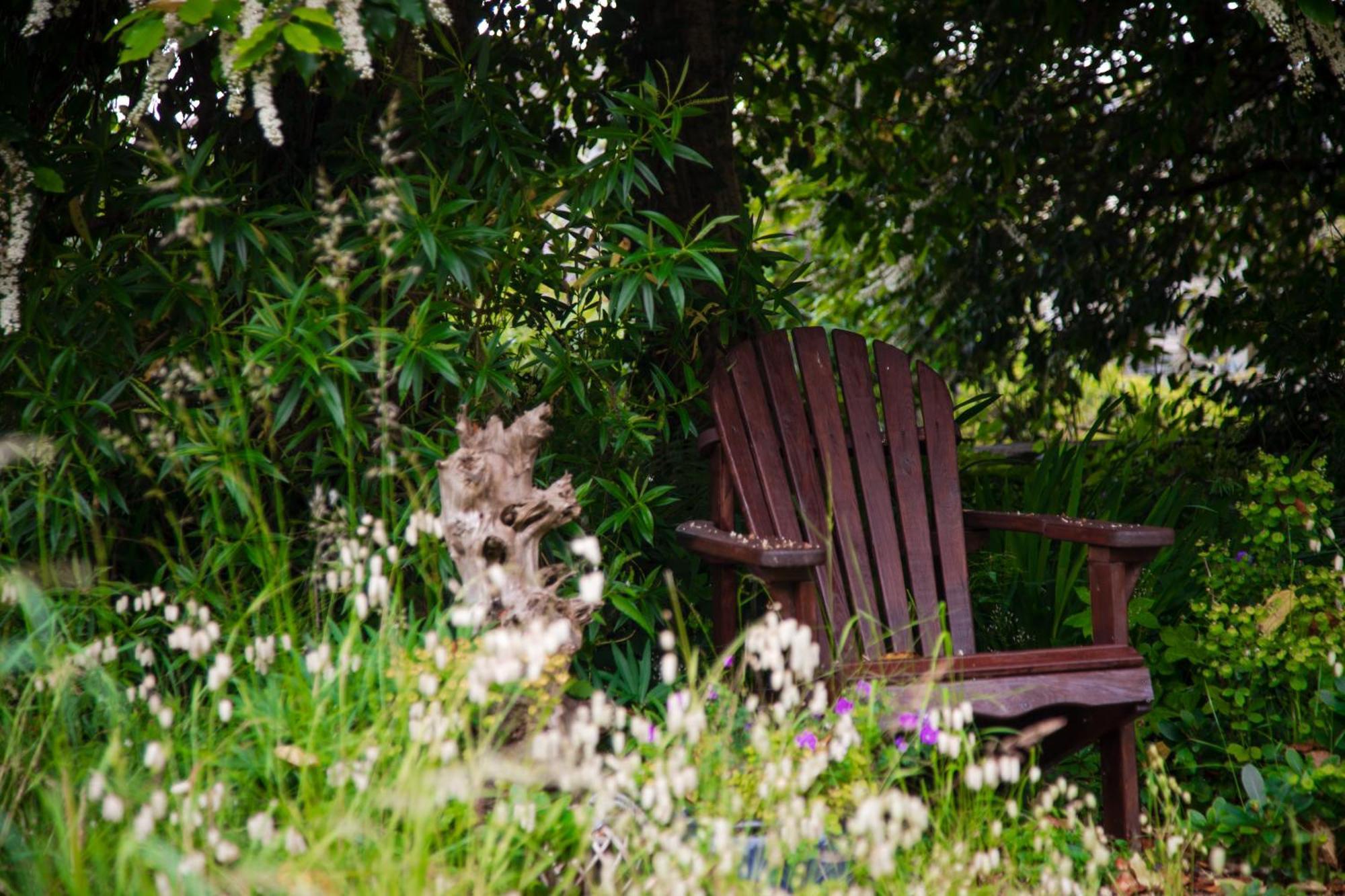 Trigonos - Quiet, Peaceful, Vegetarian B&B And Retreat Centre Nantlle Buitenkant foto