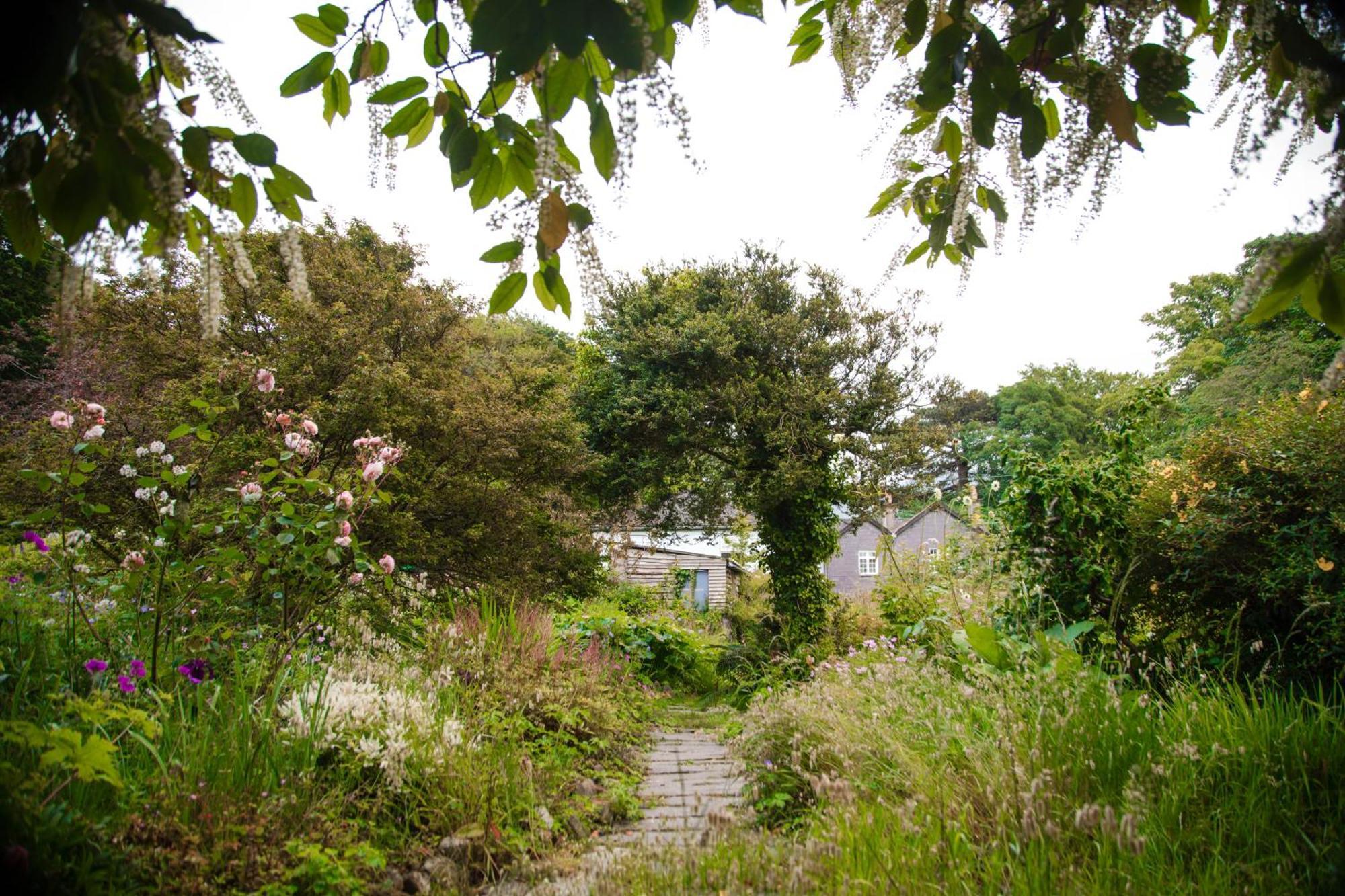 Trigonos - Quiet, Peaceful, Vegetarian B&B And Retreat Centre Nantlle Buitenkant foto