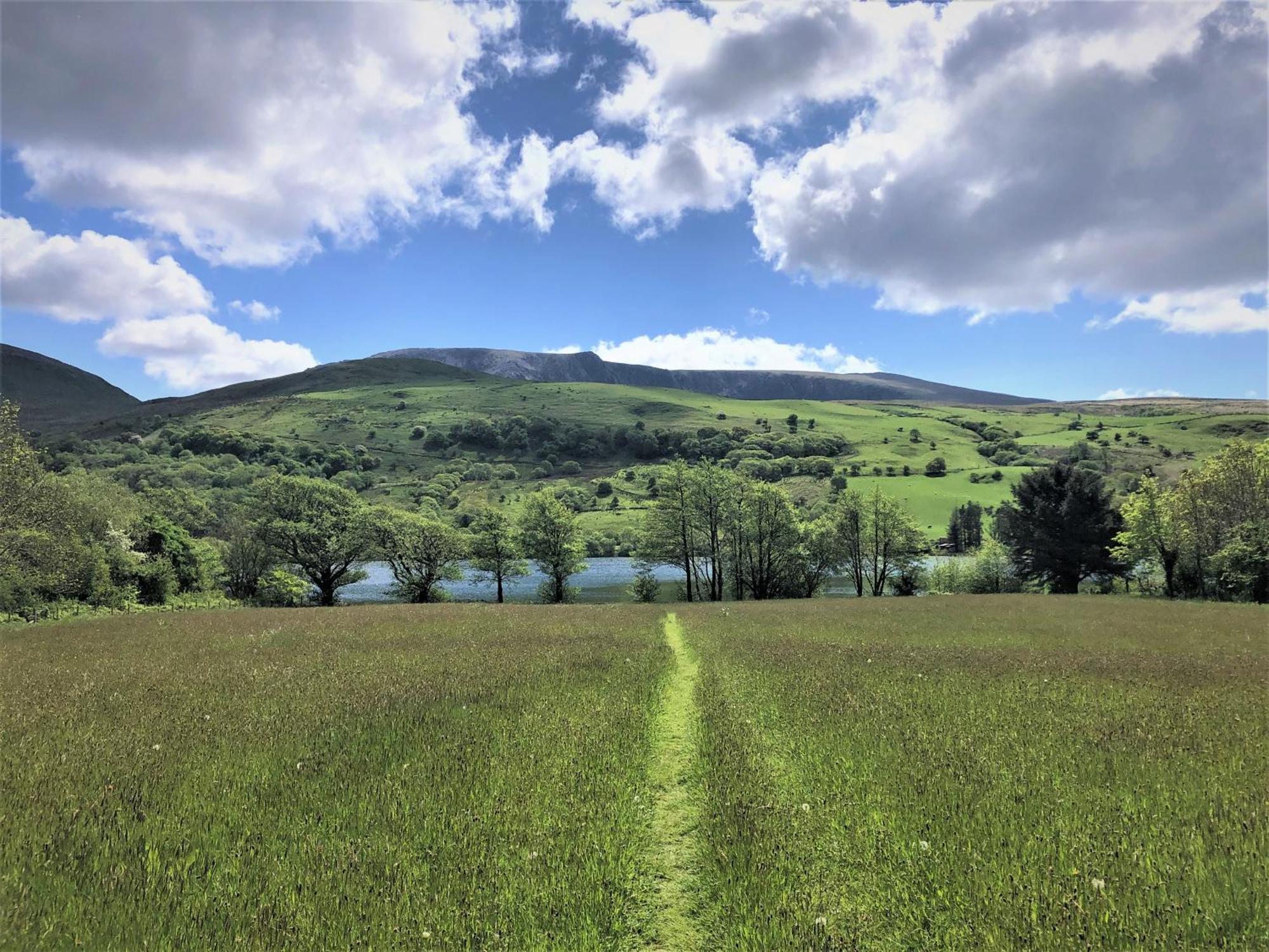 Trigonos - Quiet, Peaceful, Vegetarian B&B And Retreat Centre Nantlle Buitenkant foto